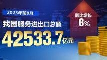 国产视频精品在线